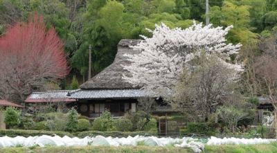 kyoto